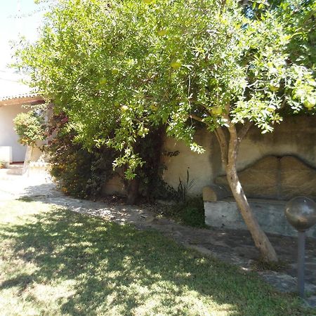 Villa Ylenia Marsala Exteriér fotografie